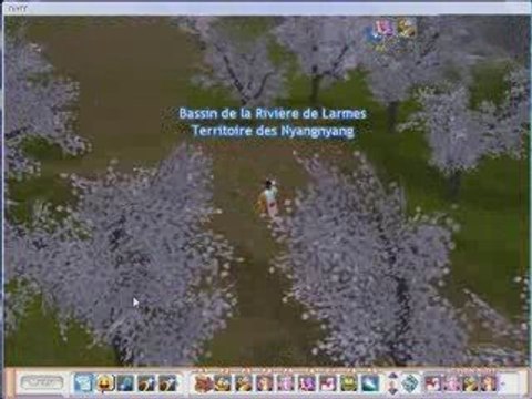 Flyff saut au dessus de la riviere de larmes