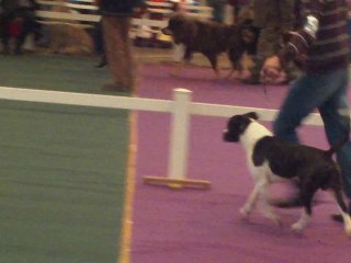 cacs chateauroux 2009