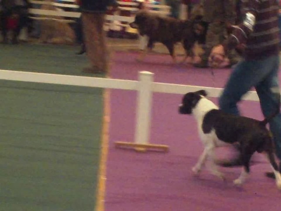 cacs chateauroux 2009