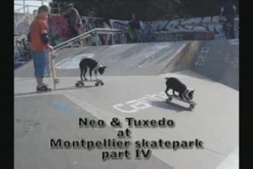 Neo & Tuxedo At Montepllier skatepark Part IV