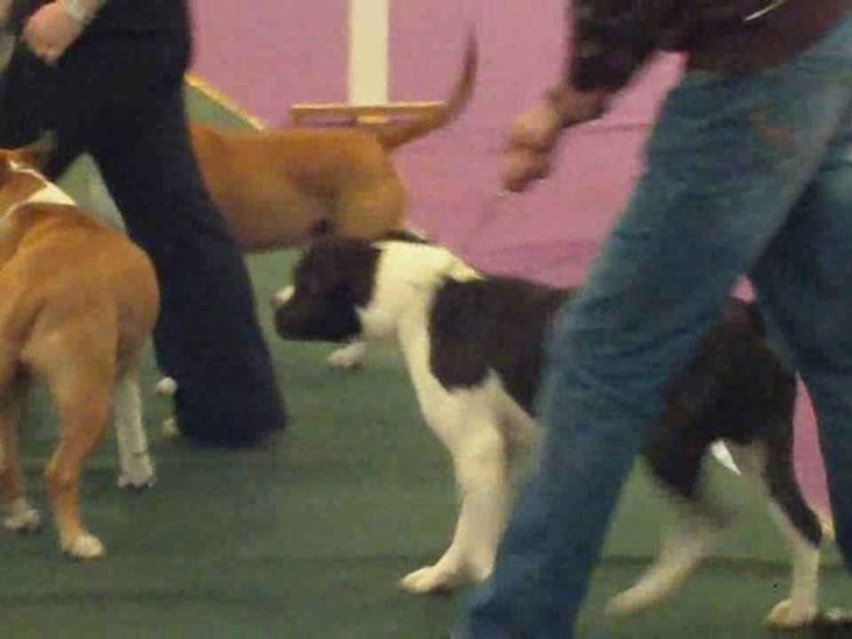 cacs chateauroux 2009