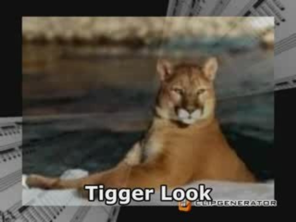 Tiger Look