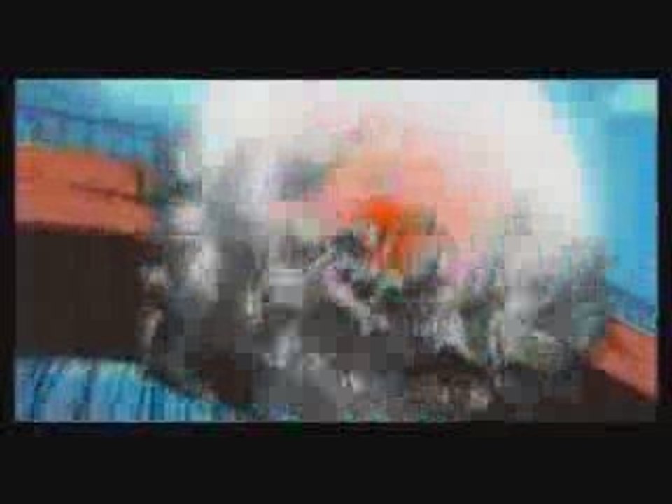 The Quest to Find Sasuke (Naruto Shippuden Trailer)