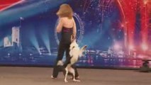 K-9 freestyle - Dancing dog