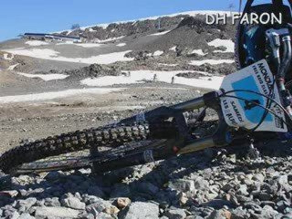 Dh-faron-2006