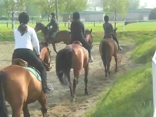 Entrainement lors de mon galop 3