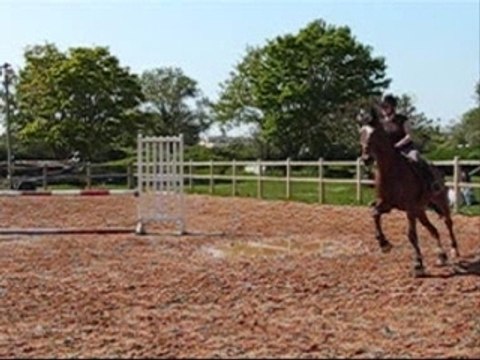 Saut pr Galop 6 Muriel