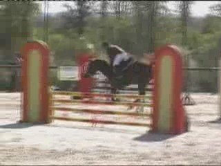 09-04-26 Haras du Pin prépa 110