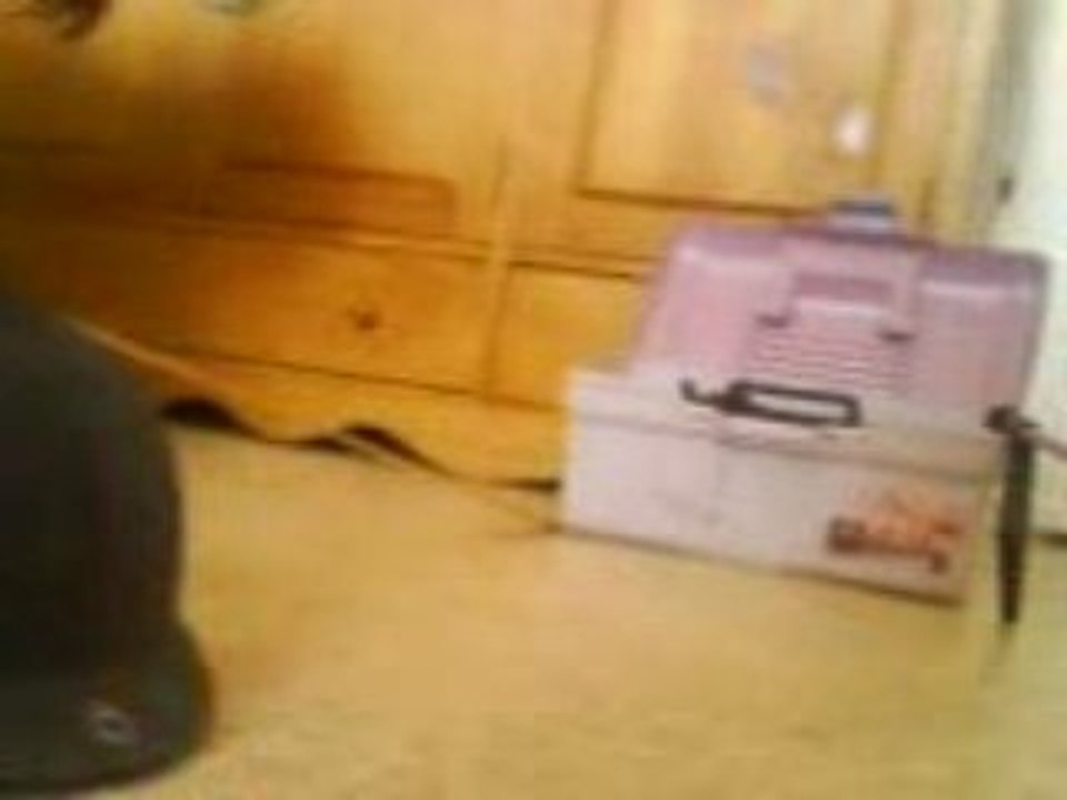 cahouette la chienne de manu au saut