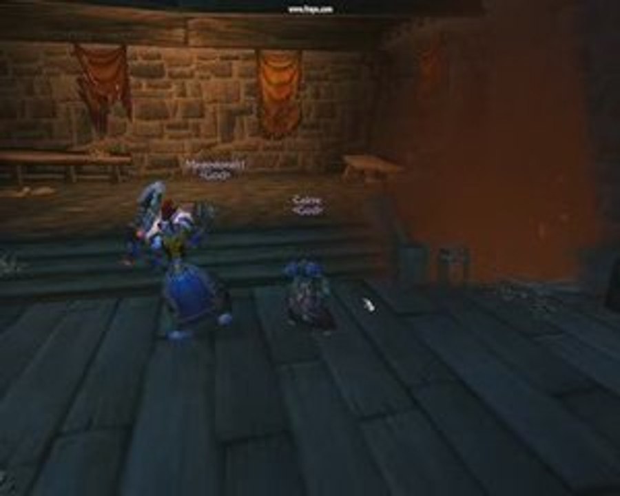 video wow existenz