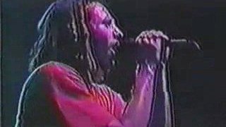 Rage Against The Machine - Ashes In The Fall (Live) rare
