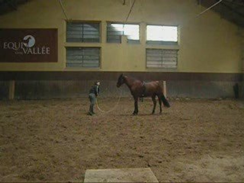 Alvarito travail au sol