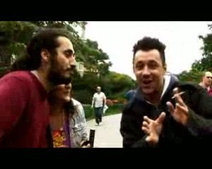 South Coast buzzing round brighton