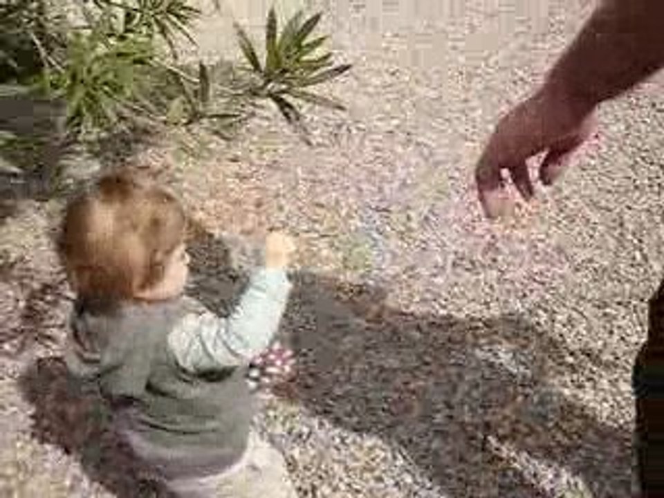 Elles sont où mes poules..... en chocolat, bien sûr !