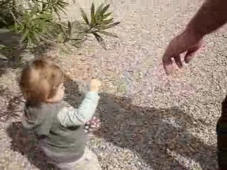 Elles sont où mes poules..... en chocolat, bien sûr !