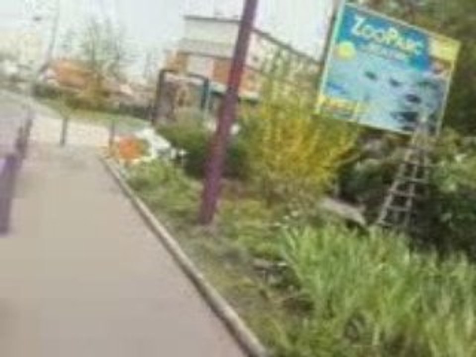 CITE DES DAHLIAS:GOTCH DE L'HAY LES ROSES ET FABOUS