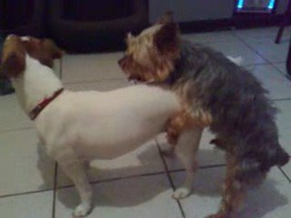 Music lol mimi et leo