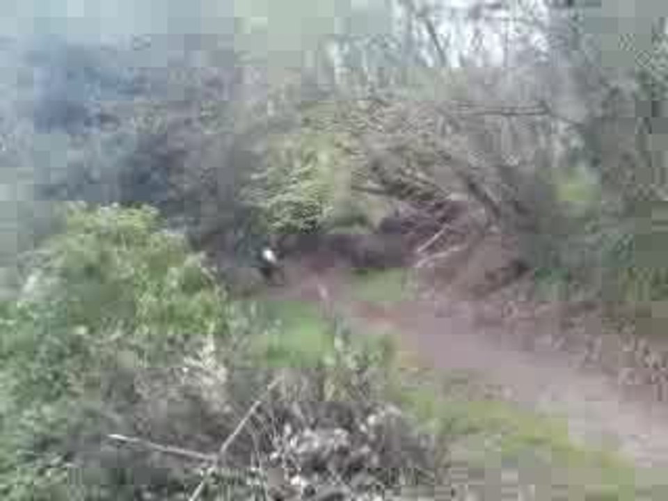 Cross1