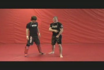 Introduction to Leg Kicks