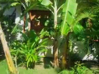 rosawadee viste jardin piscine,boudha