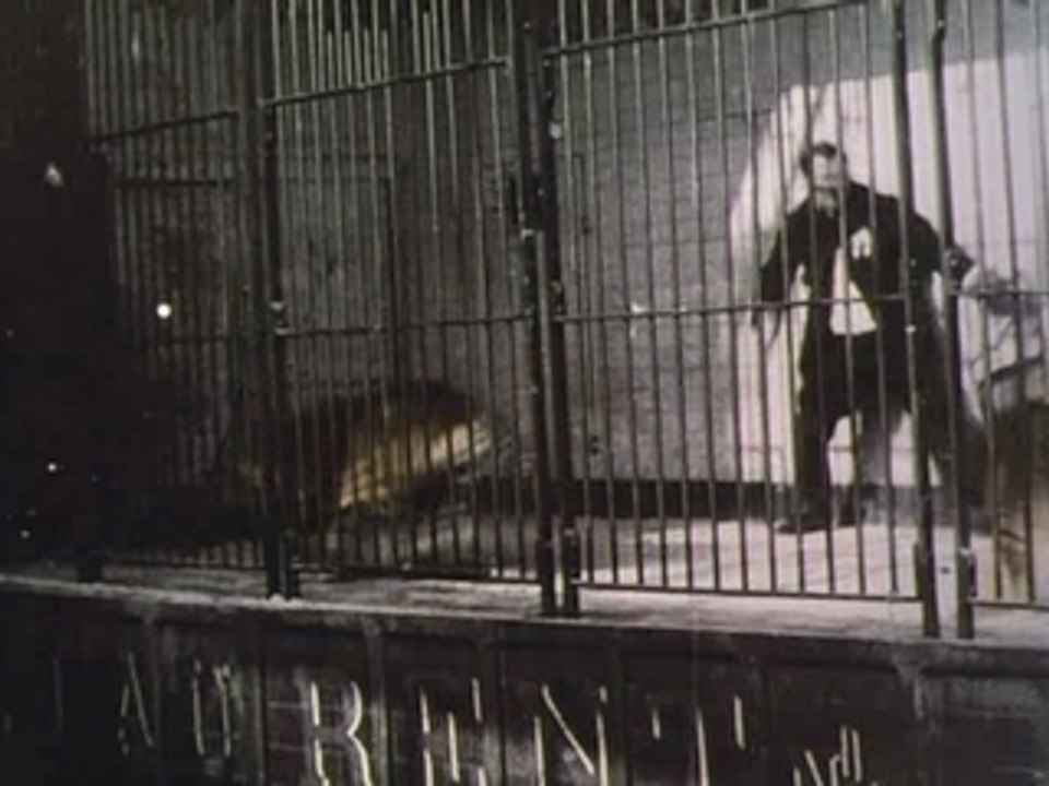 Alice Guy - 1900 - Danse Serpentine