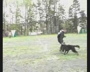 Brix du Vierzonnais, Gr5 Cransac 2009