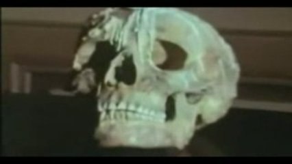 lelibrepenseur : Nouveau Désordre Mondial Maçonnique !