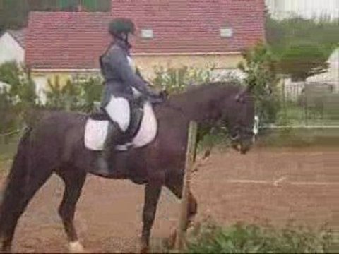 Dressage CCE Club 2