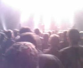 trust concert toujours parmi nous