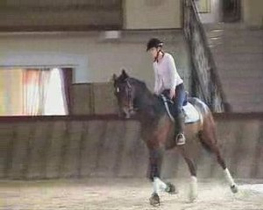 Cours DG dressage pour Philou le trotteur 2