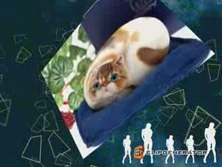 Stone arts or Statues