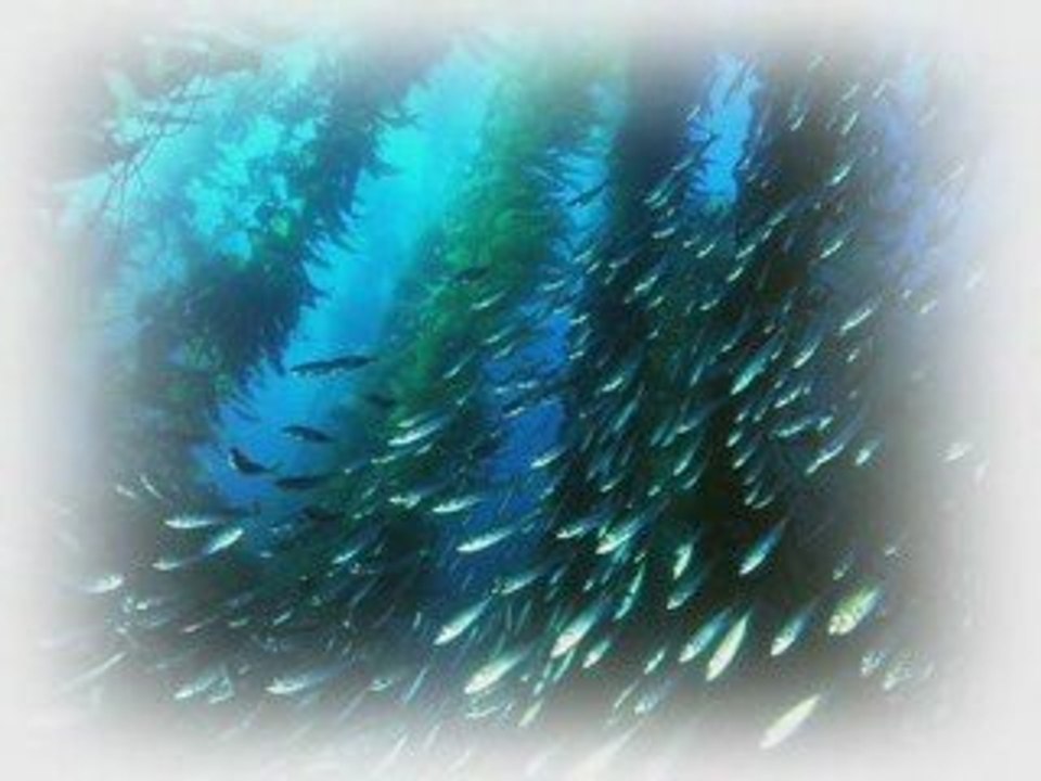 Enigma - Eppur Si Muove Tocadisco Remix