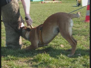 Démon du Dragon Rouge de Jupiter le 20.03.2009