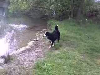 D'JAÏNA A LA GRAVIERE!!!!