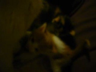 le petit rouquin qui joue...