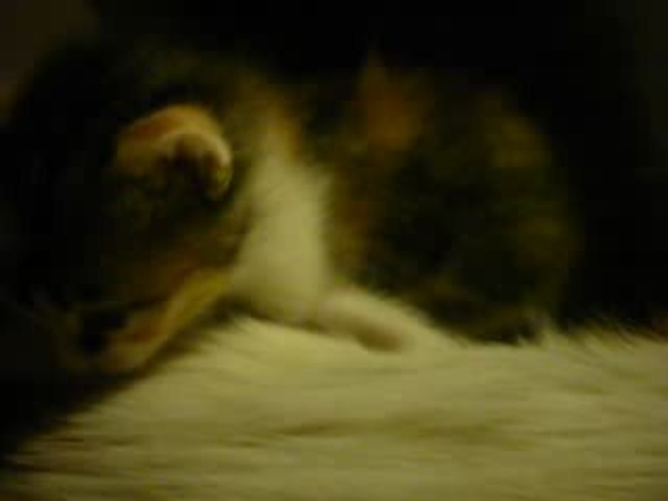 Rimel