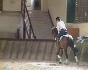 Cours DG dressage pour Philou le trotteur 4