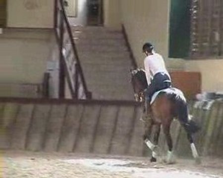 Cours DG dressage pour Philou le trotteur 4