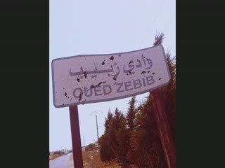 Oued zbib