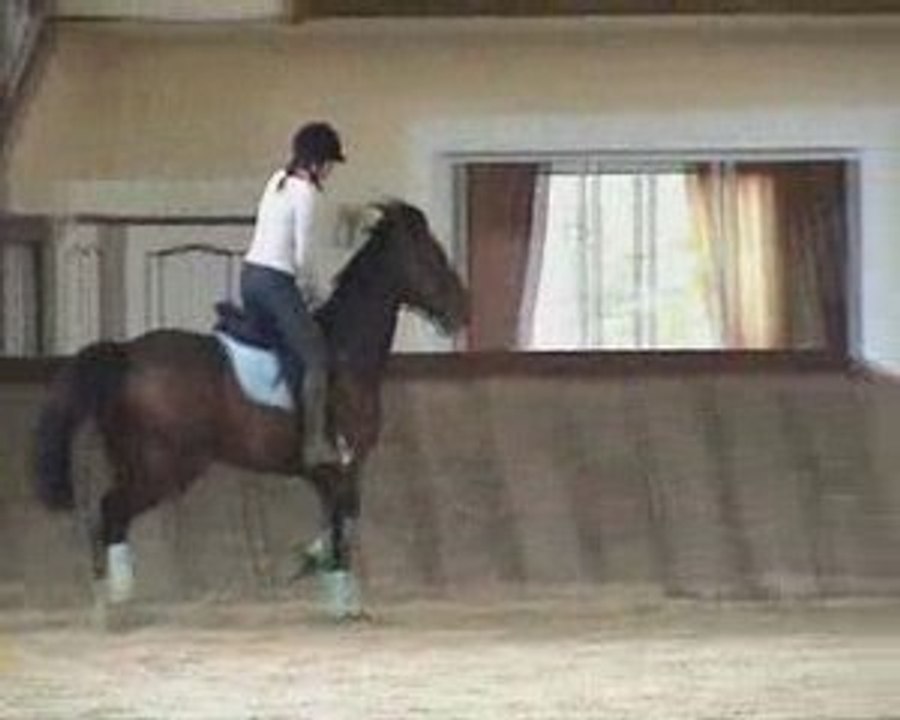 Cours DG dressage pour Philou le trotteur 7