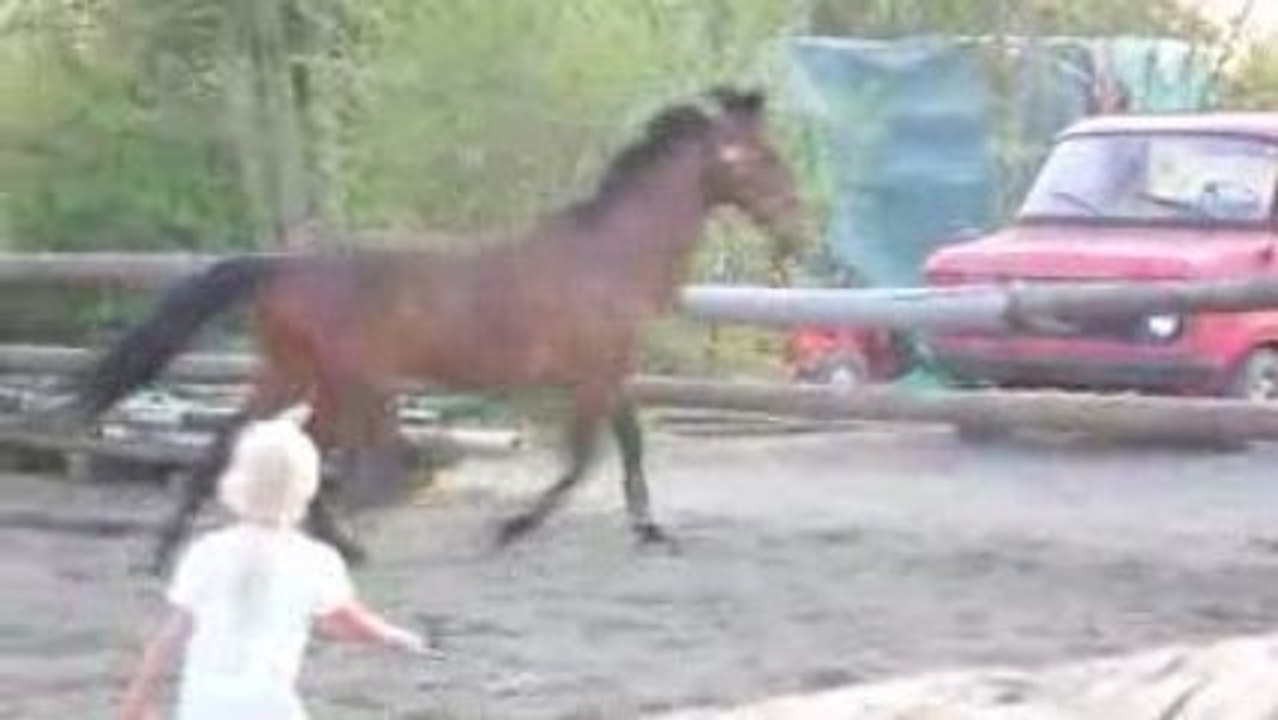SDC11388