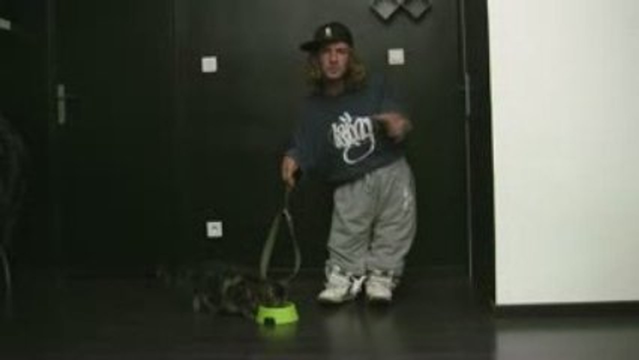 Gringos mini moi