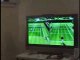 Wii-sports-tennis-chien-chat