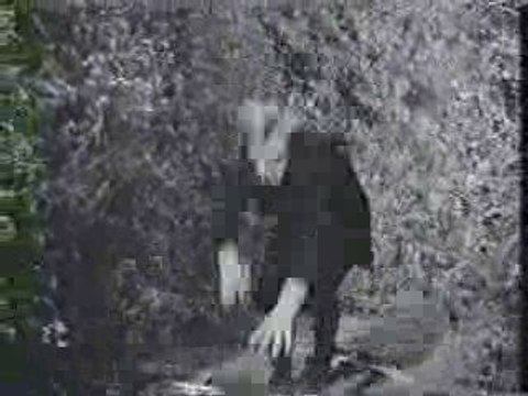 Leonard Cohen - Everybody knows