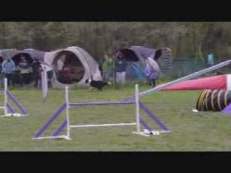 CR 3ème degré C Peps Agility