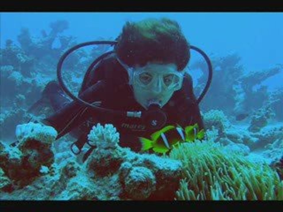 Montage photo El nabaa