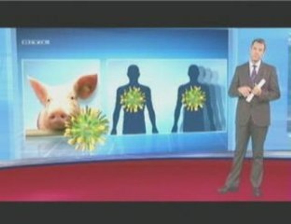 Alles zur Schweinegrippe