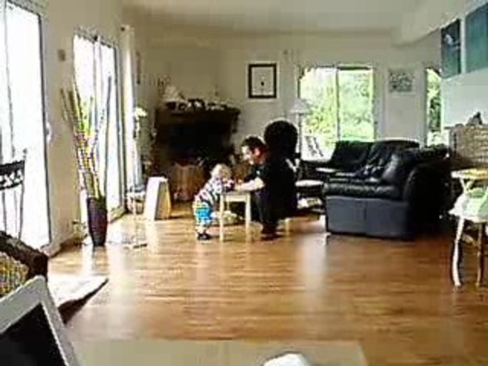 Un zèbre au pays des diots