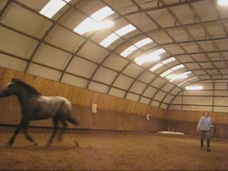 Dusty tites nouvelles