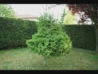 Mon premier StopMotion